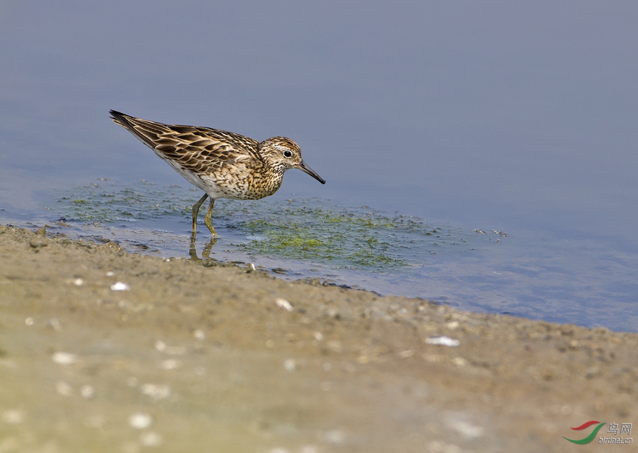 2014��8�·��������̽��ʼ����ĵ�