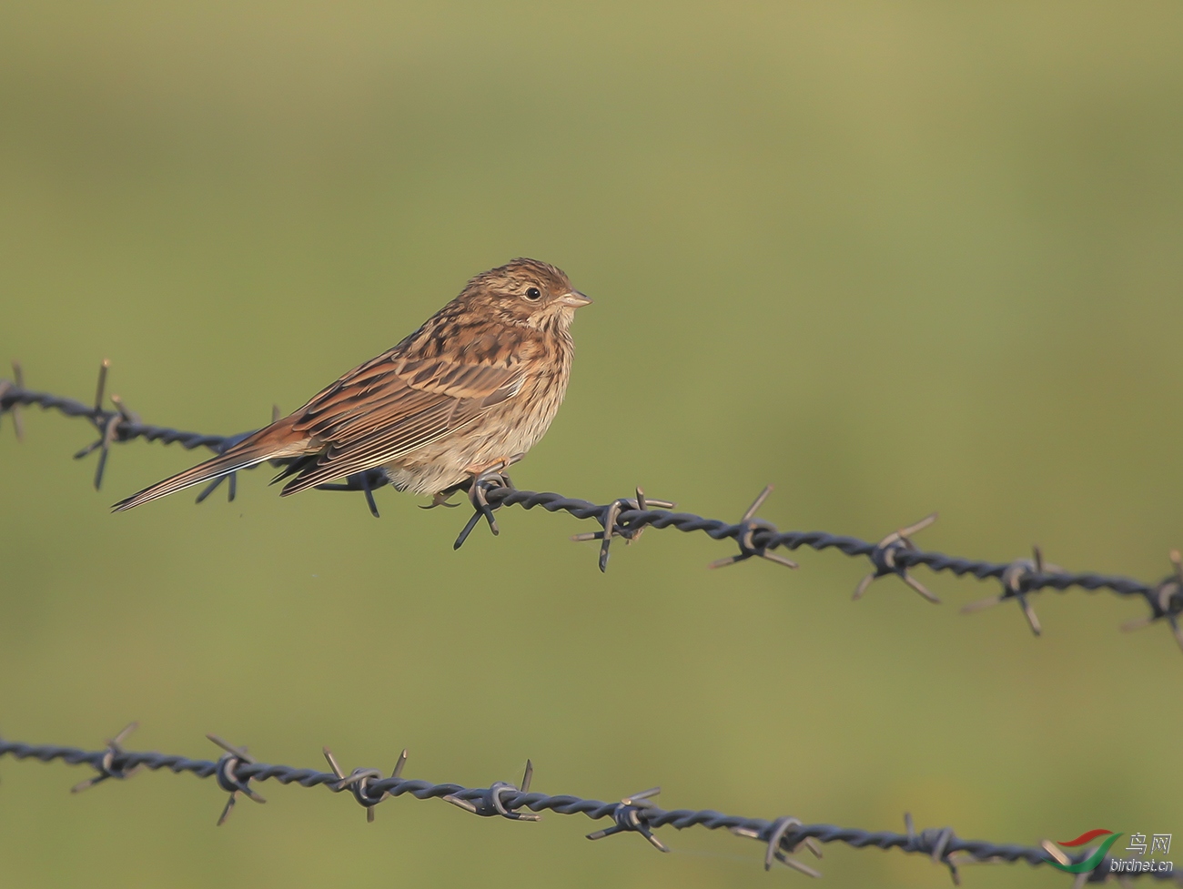 2010��7�·��ں��ױ����ж�������ĵ�