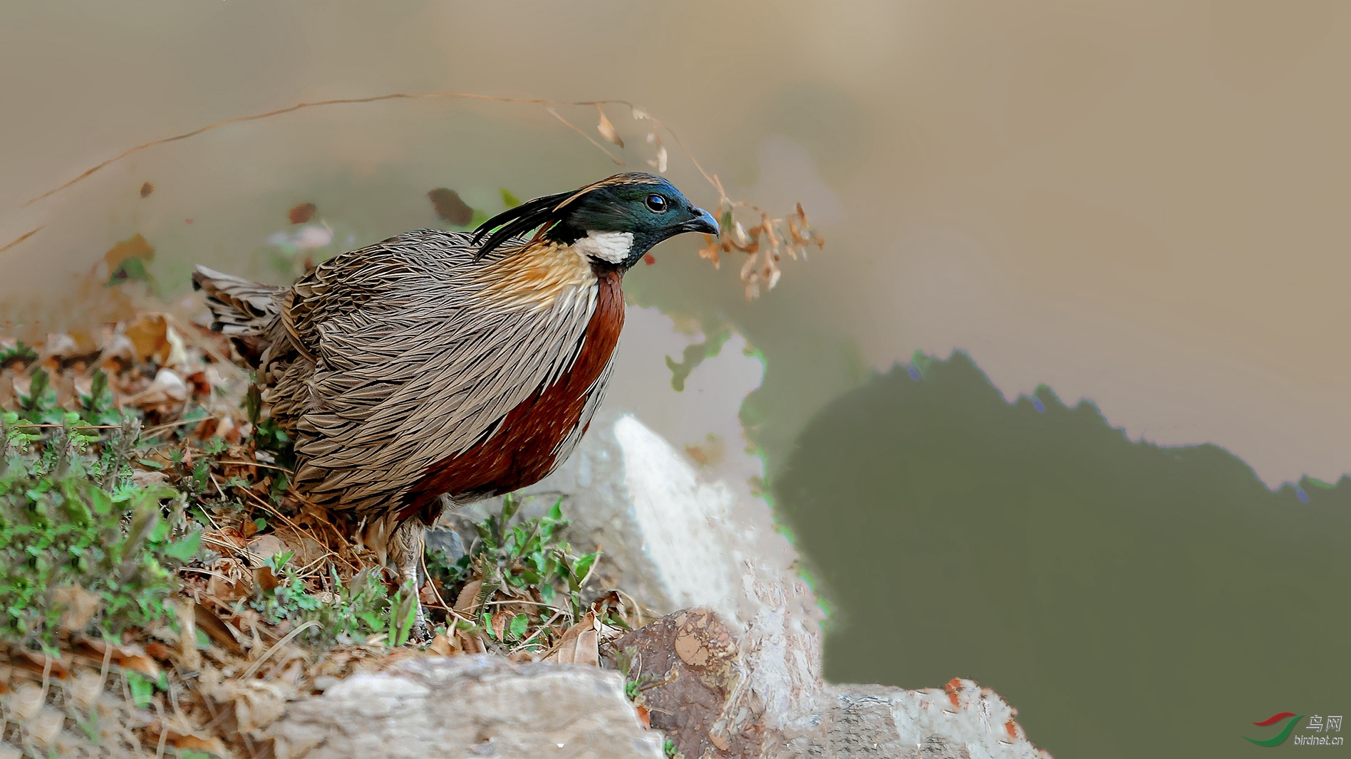 DSC_8333_����_���� (2)_����_����.jpg