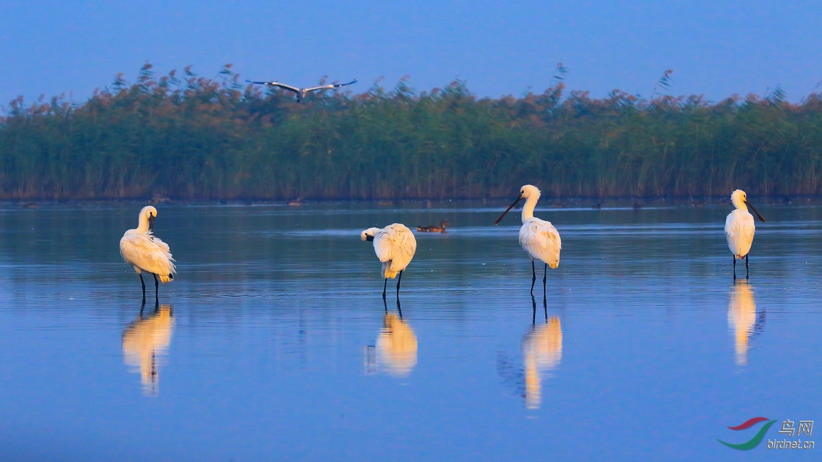 ����֮��