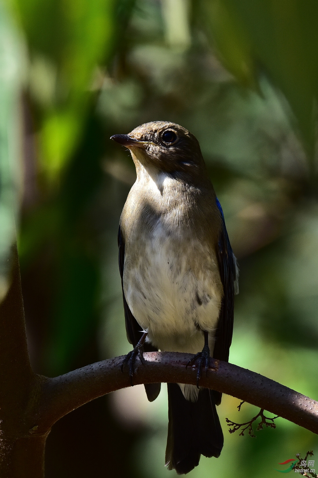 DSC_0125.JPG
