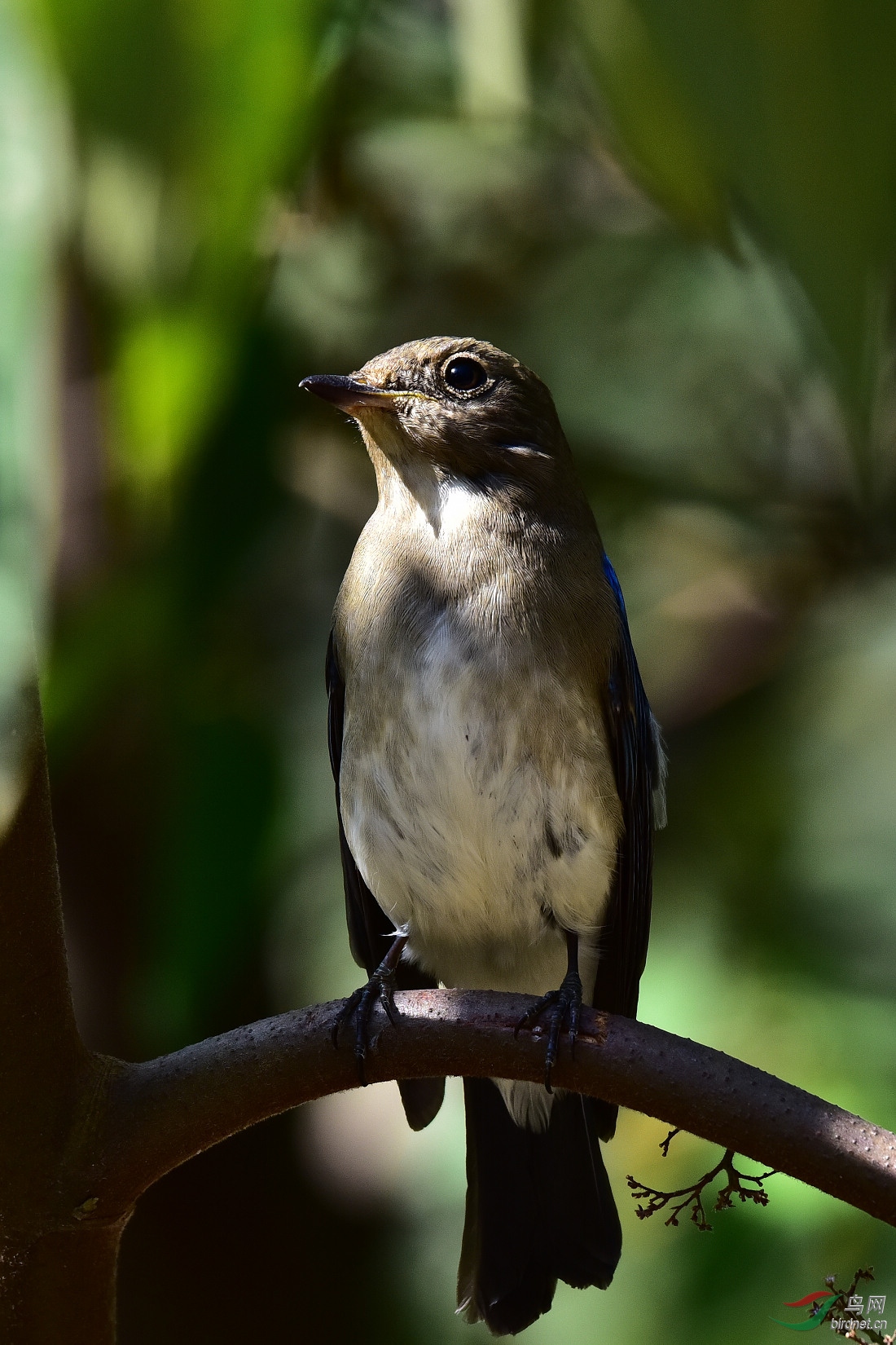DSC_0126.JPG