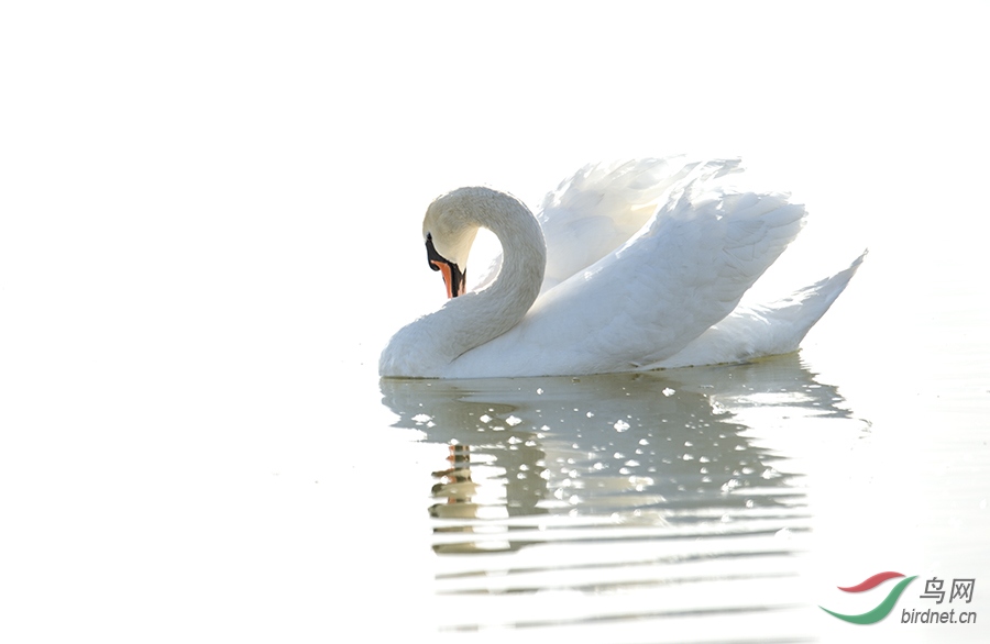 Photo taken on 2017-04-12 08-48-30 (2).jpg