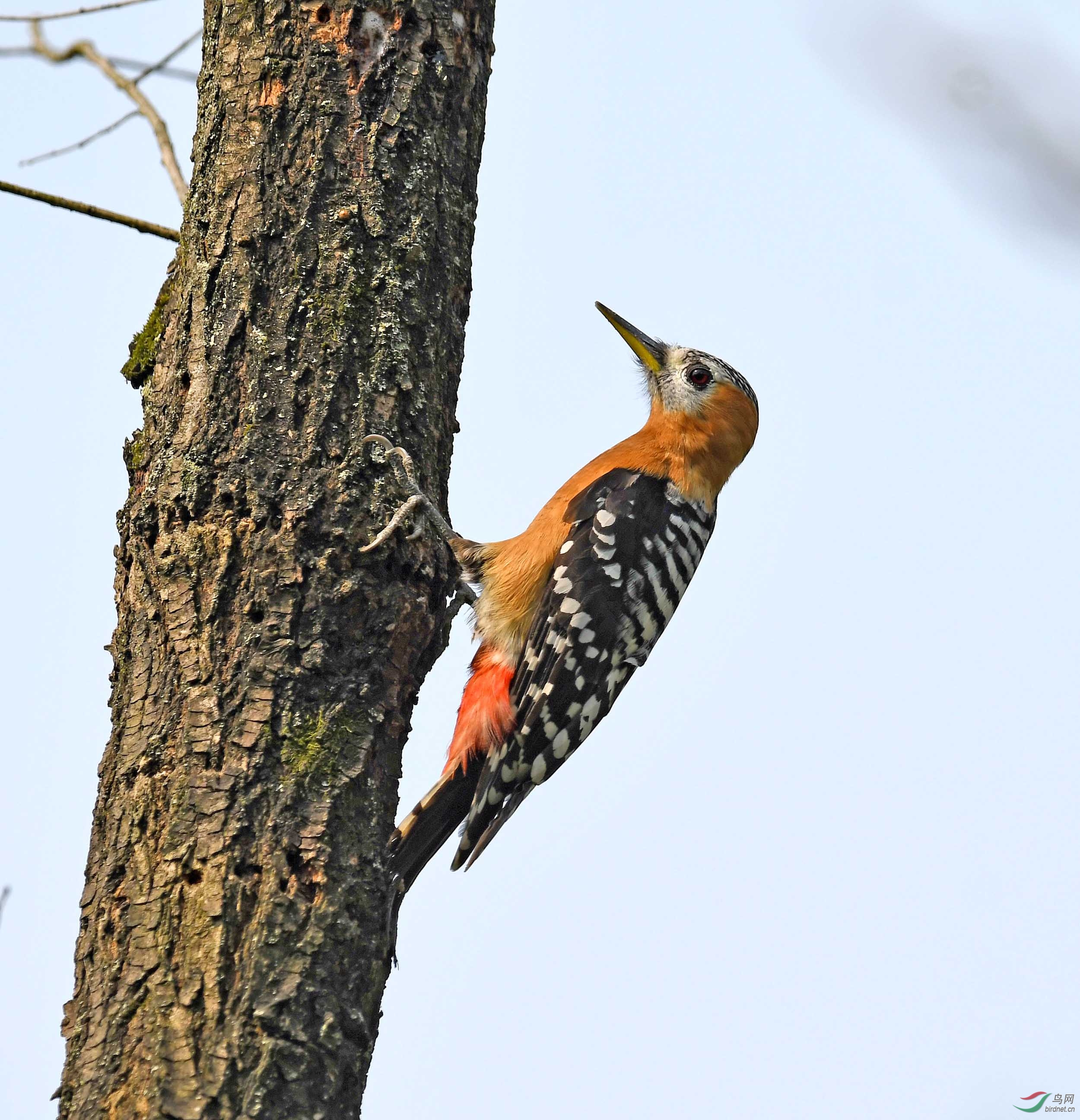 DSC_7122 - ����.JPG