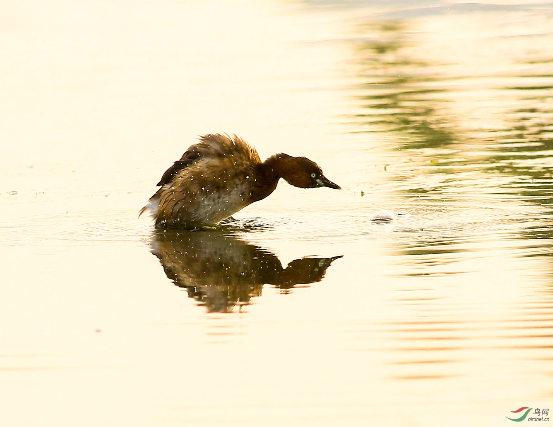 2020-03-23 06-42-21 (2).JPG