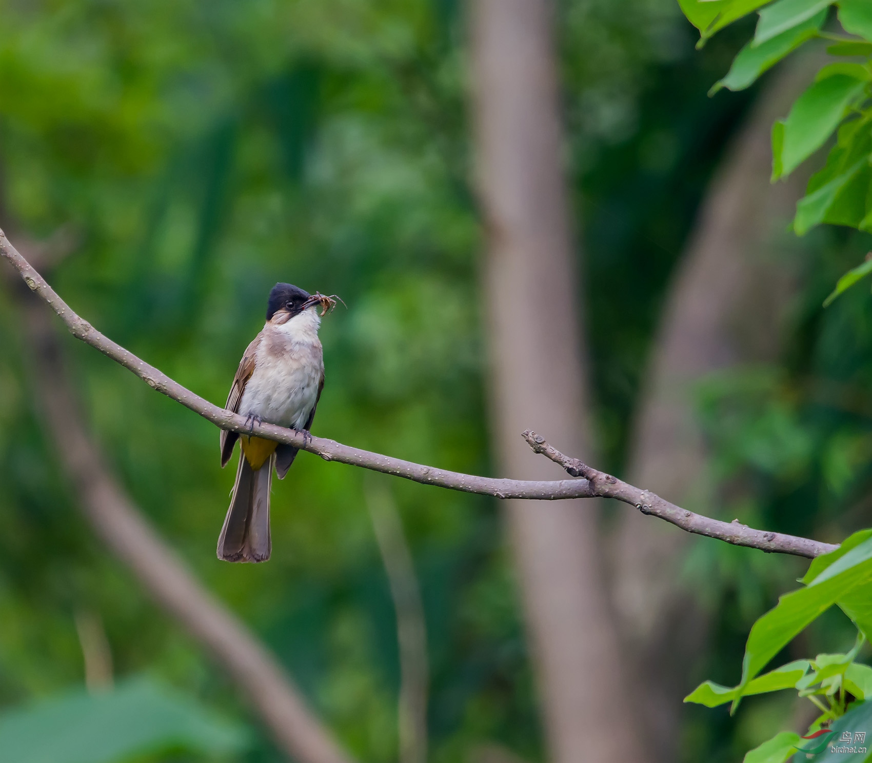 DSC_8678-2.jpg