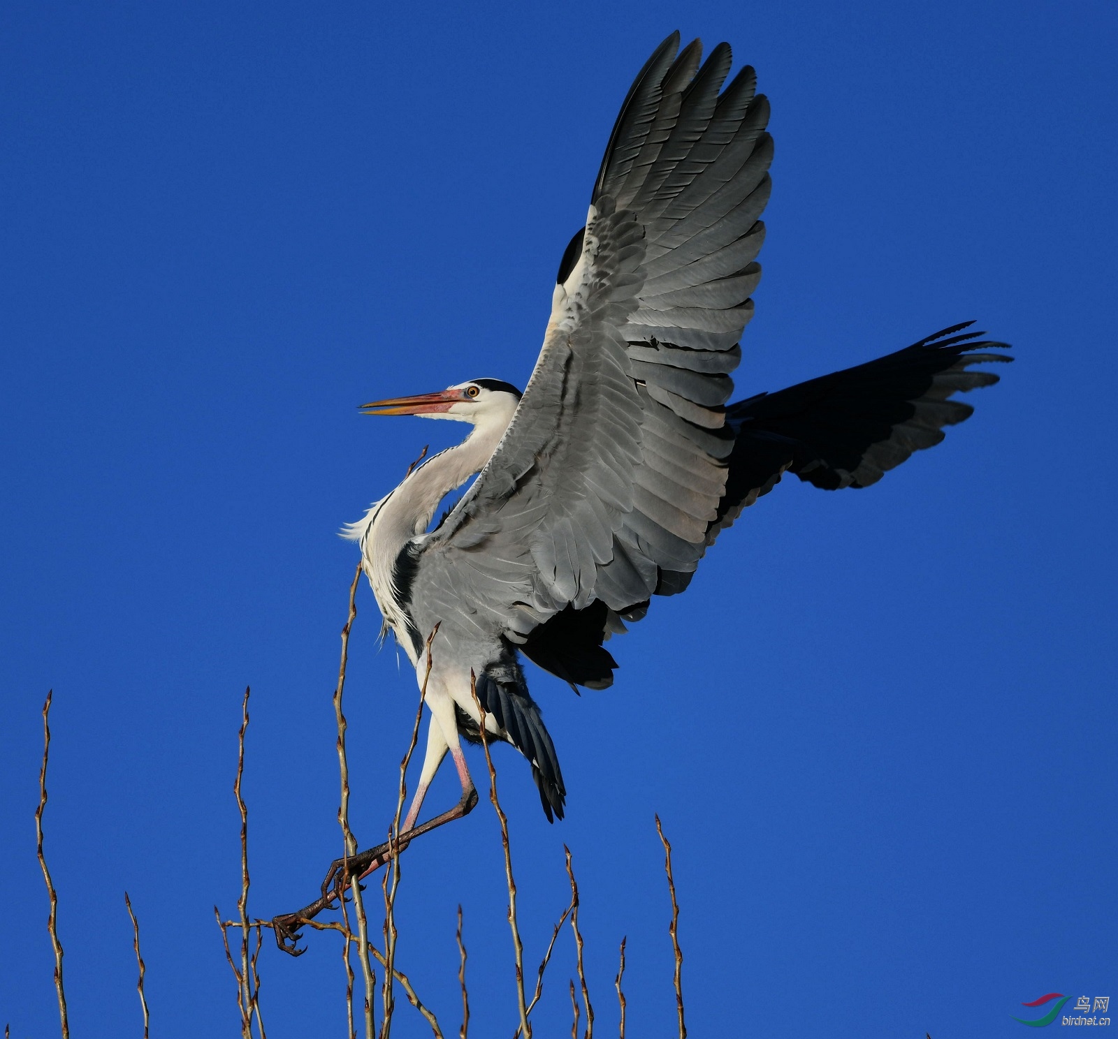 DSC_1766_副本.jpg