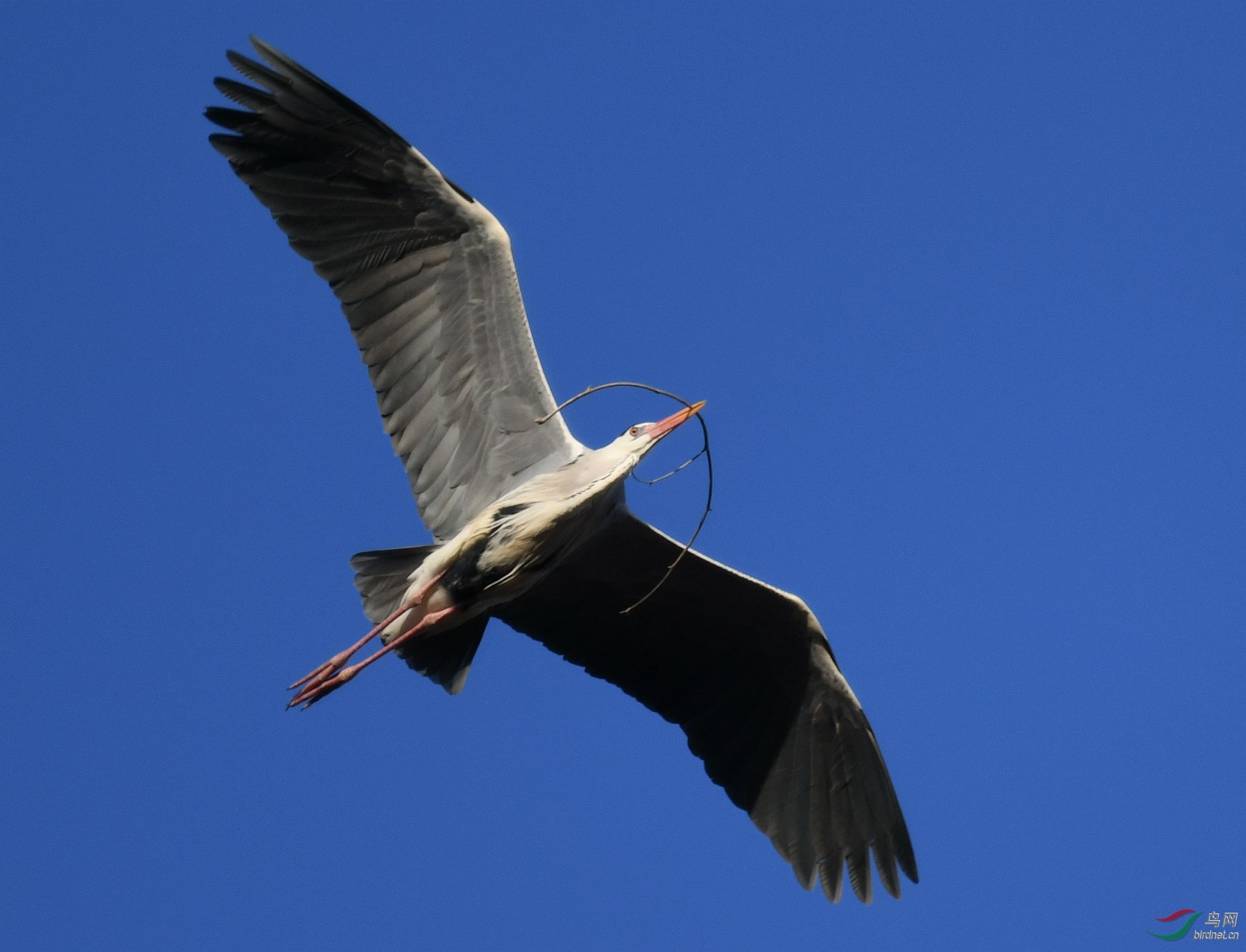DSC_9093_副本.jpg