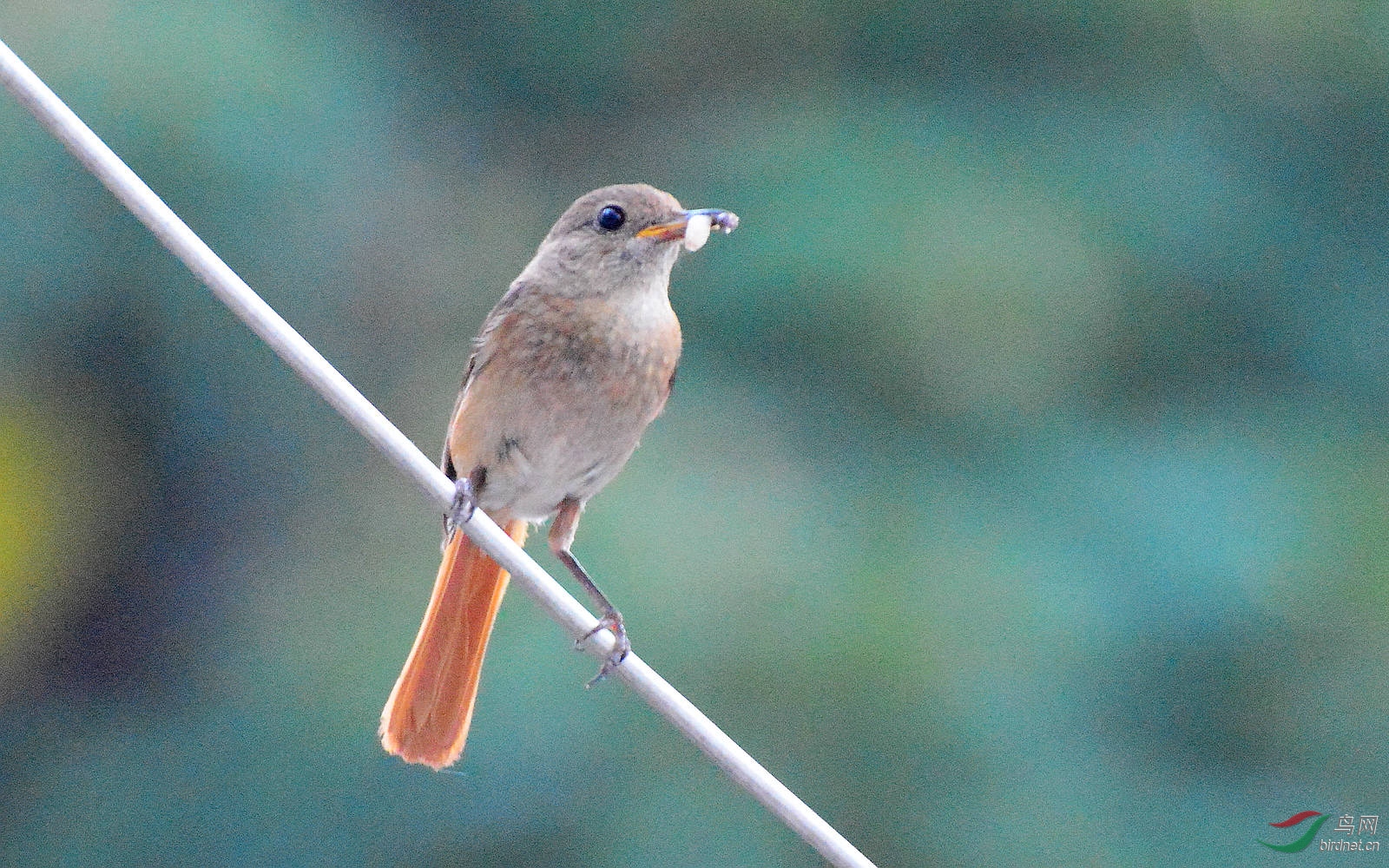 DSC_8821.JPG