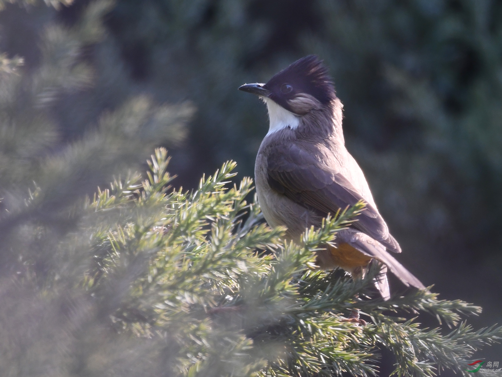 ������Ӱ 880����.jpg