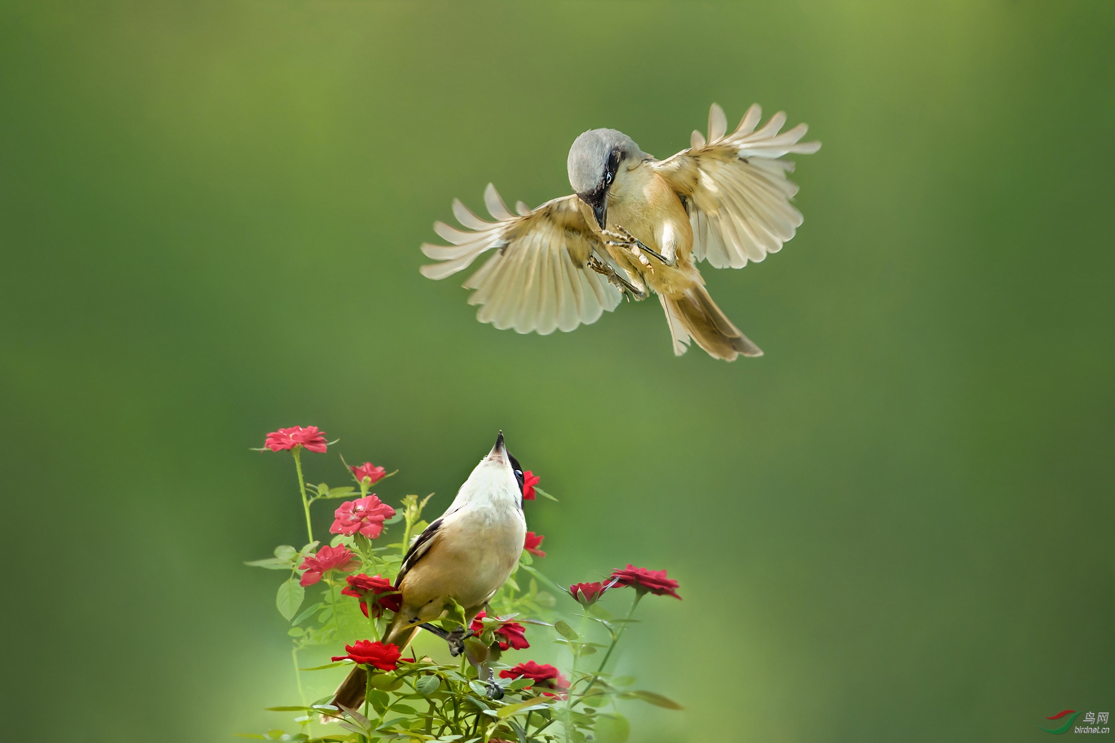 1DS_1599����aa.jpg