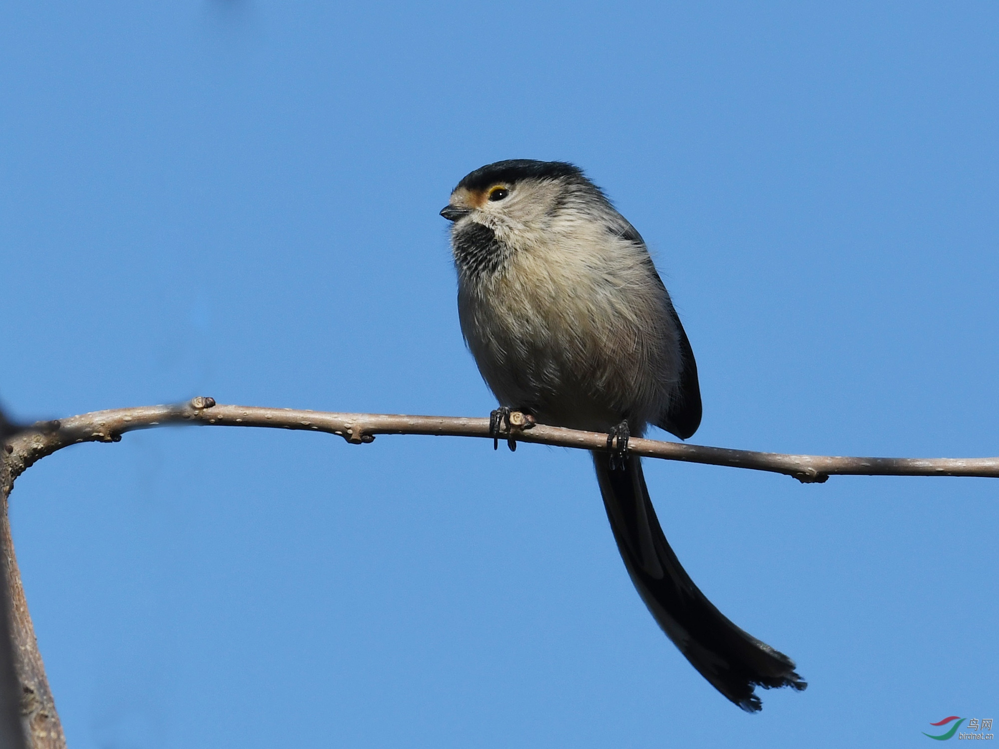 ������Ӱ 467����.jpg