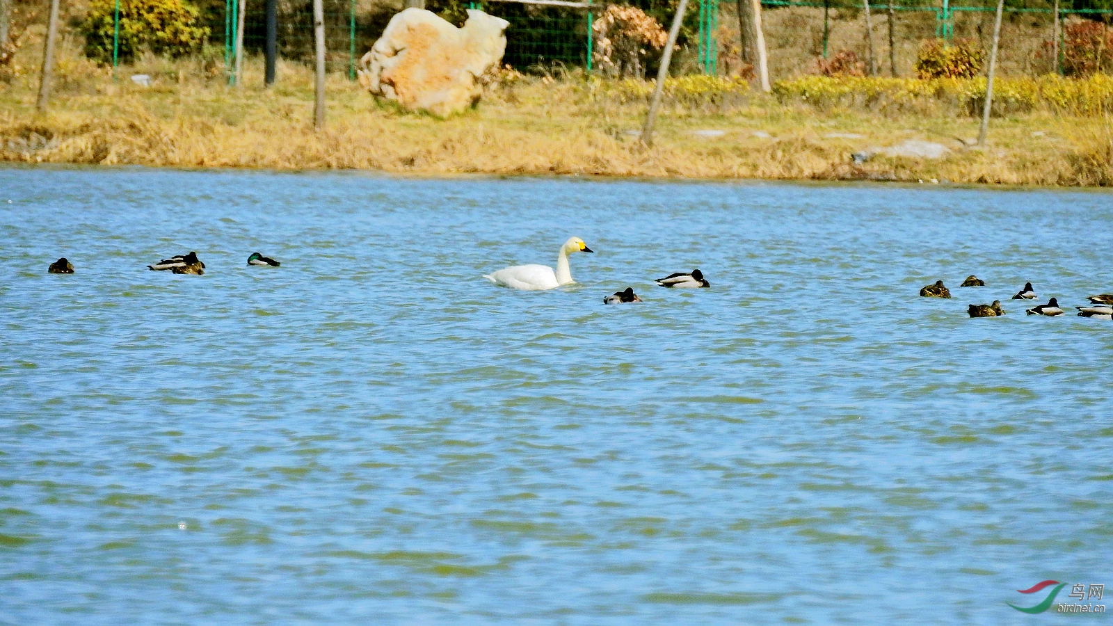 DSCN1534.JPG
