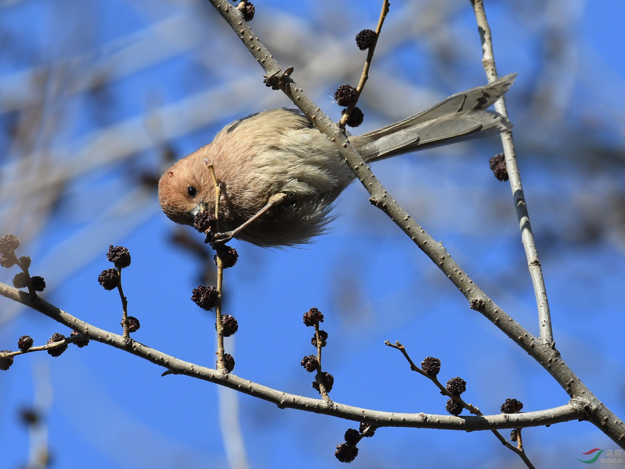 ������Ӱ 170����.jpg