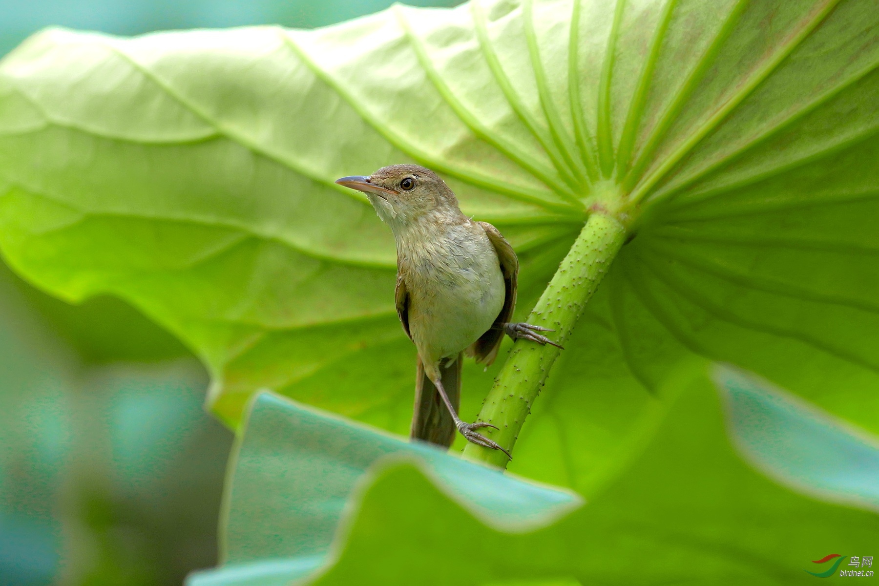 _DSC7579 _����.jpg