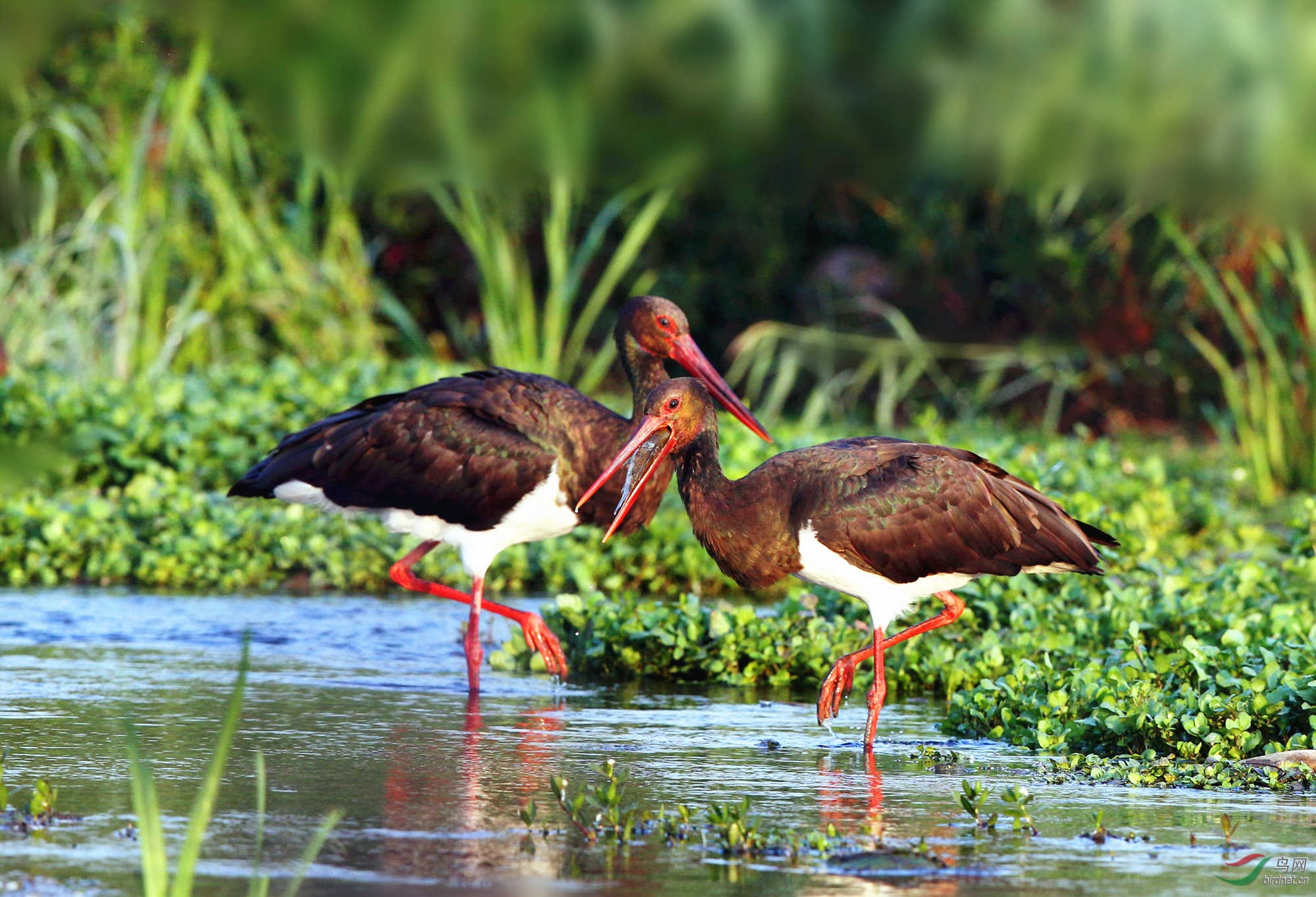 H46R6288_����_���� (2).jpg