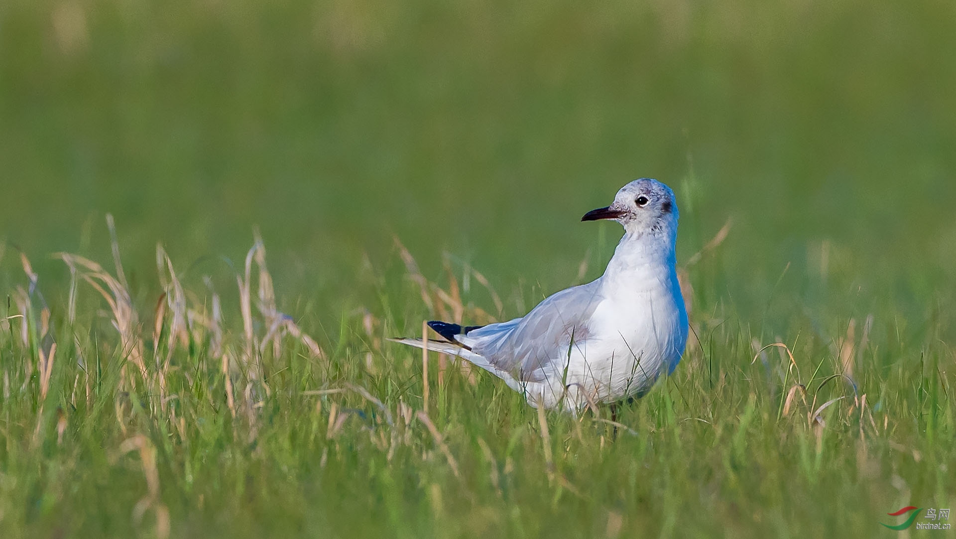 DSC_6397.jpg