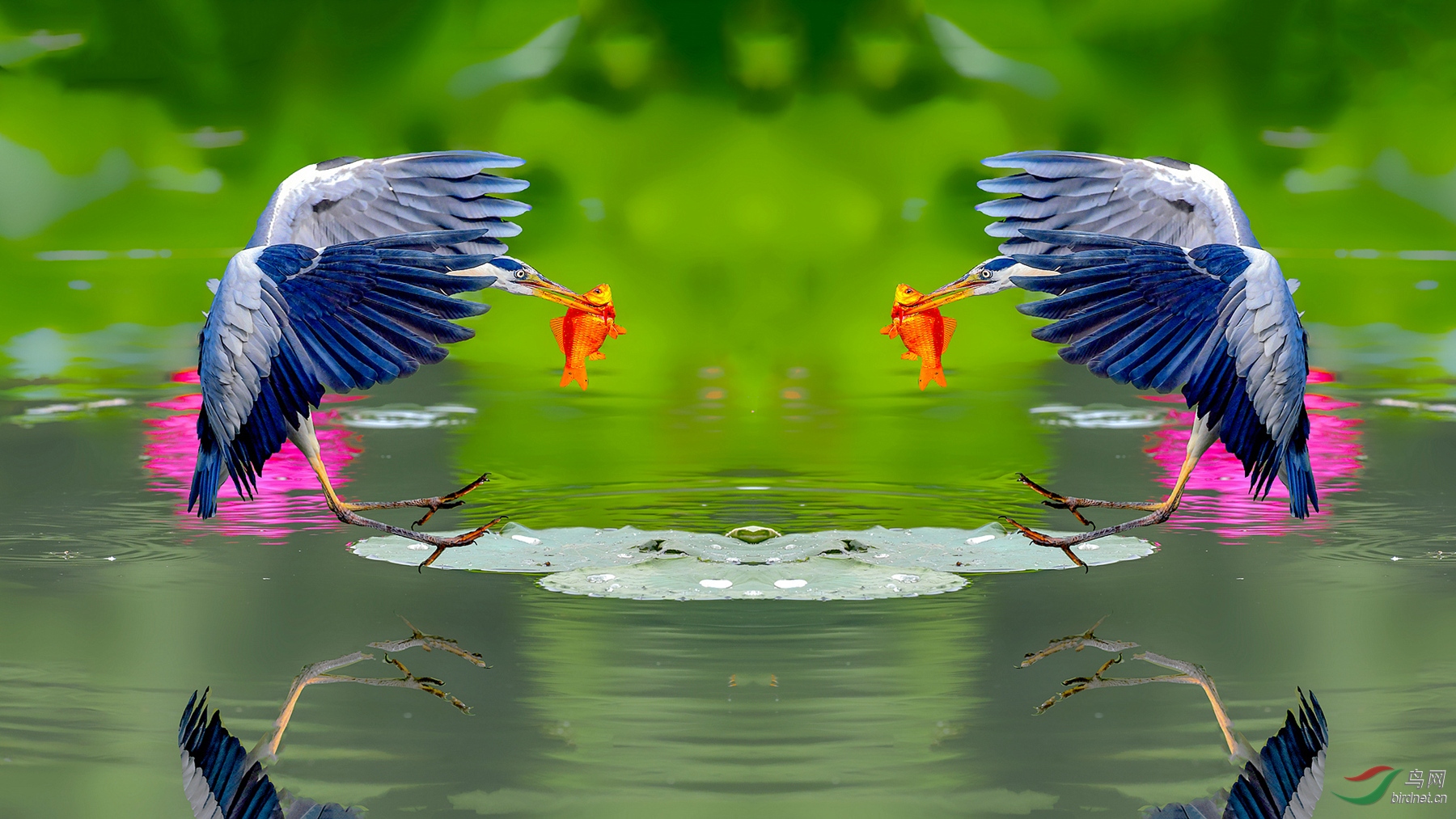 DSC_8446 (3)_����_����_����_����_����.jpg