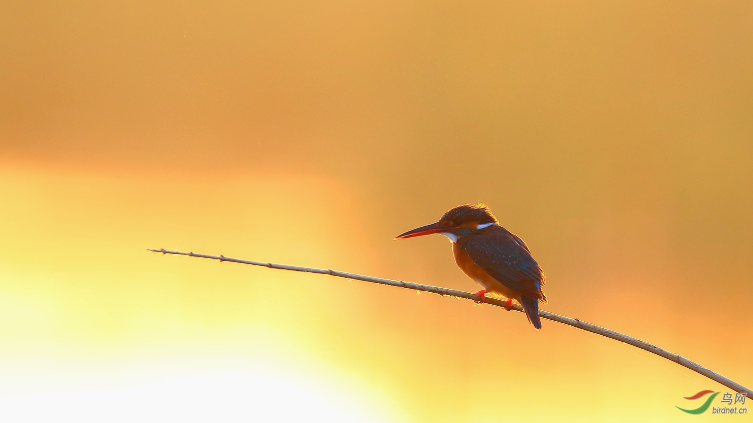 ��ԡ����