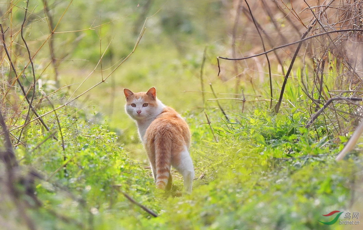 DSC_1613.JPG