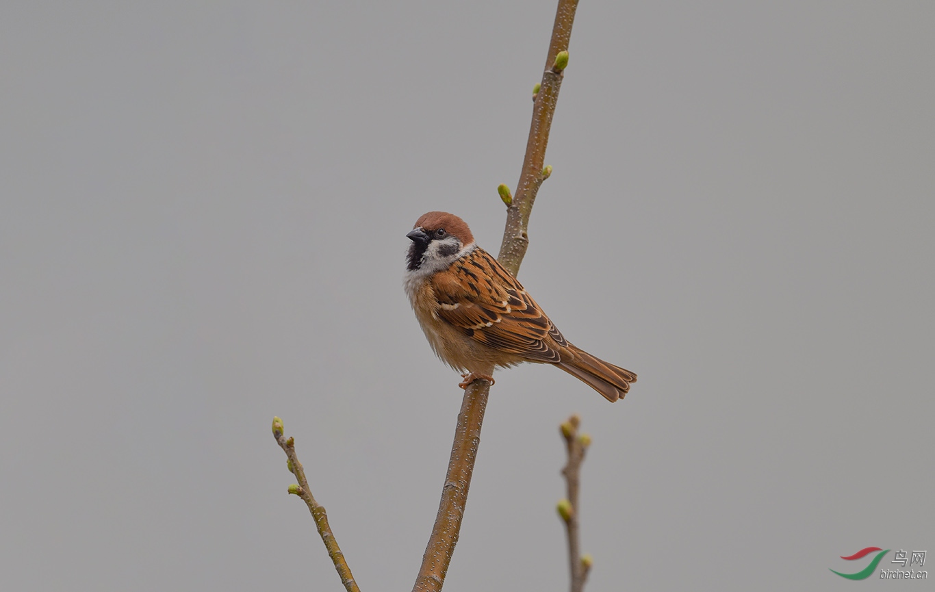 DSC_0501.jpg