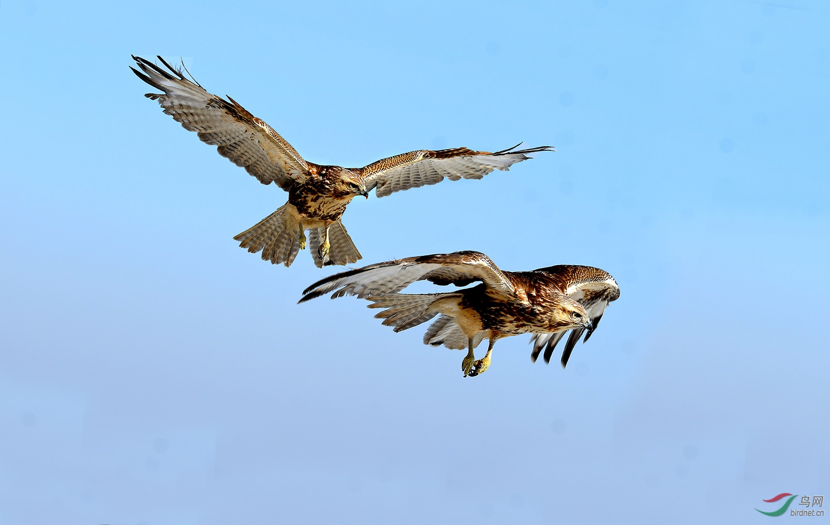 6.��������ͨ��