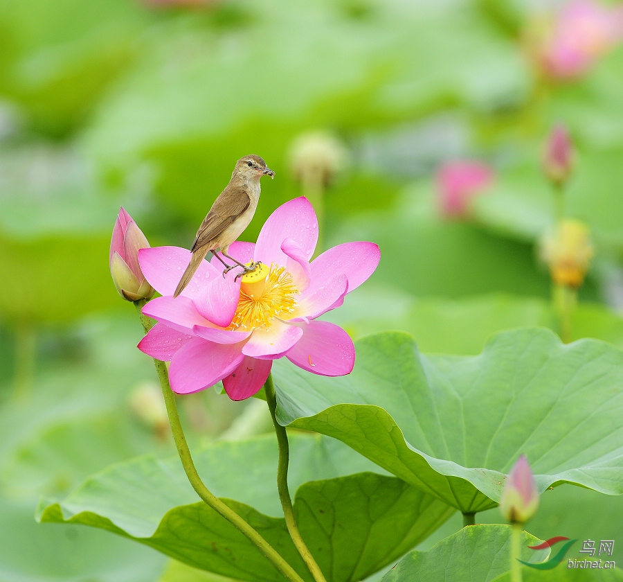 ������έݺ 2014.7.8 (41)--.jpg