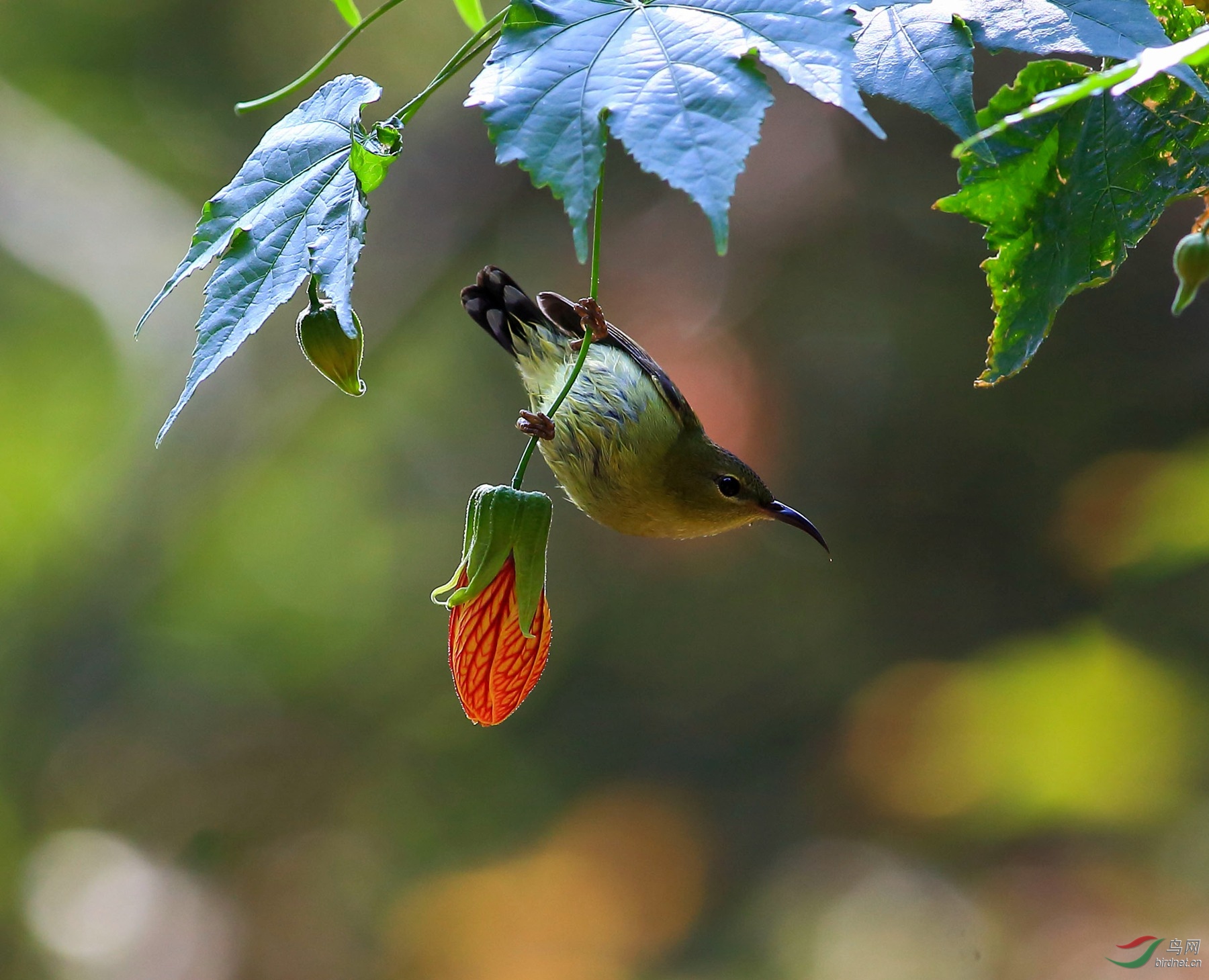 2019-12-23 11-11-29.JPG