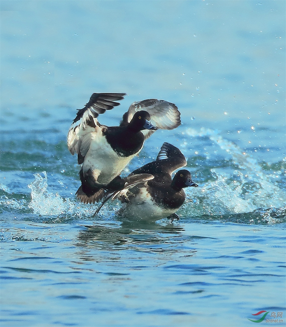 2 (3) - ����.JPG