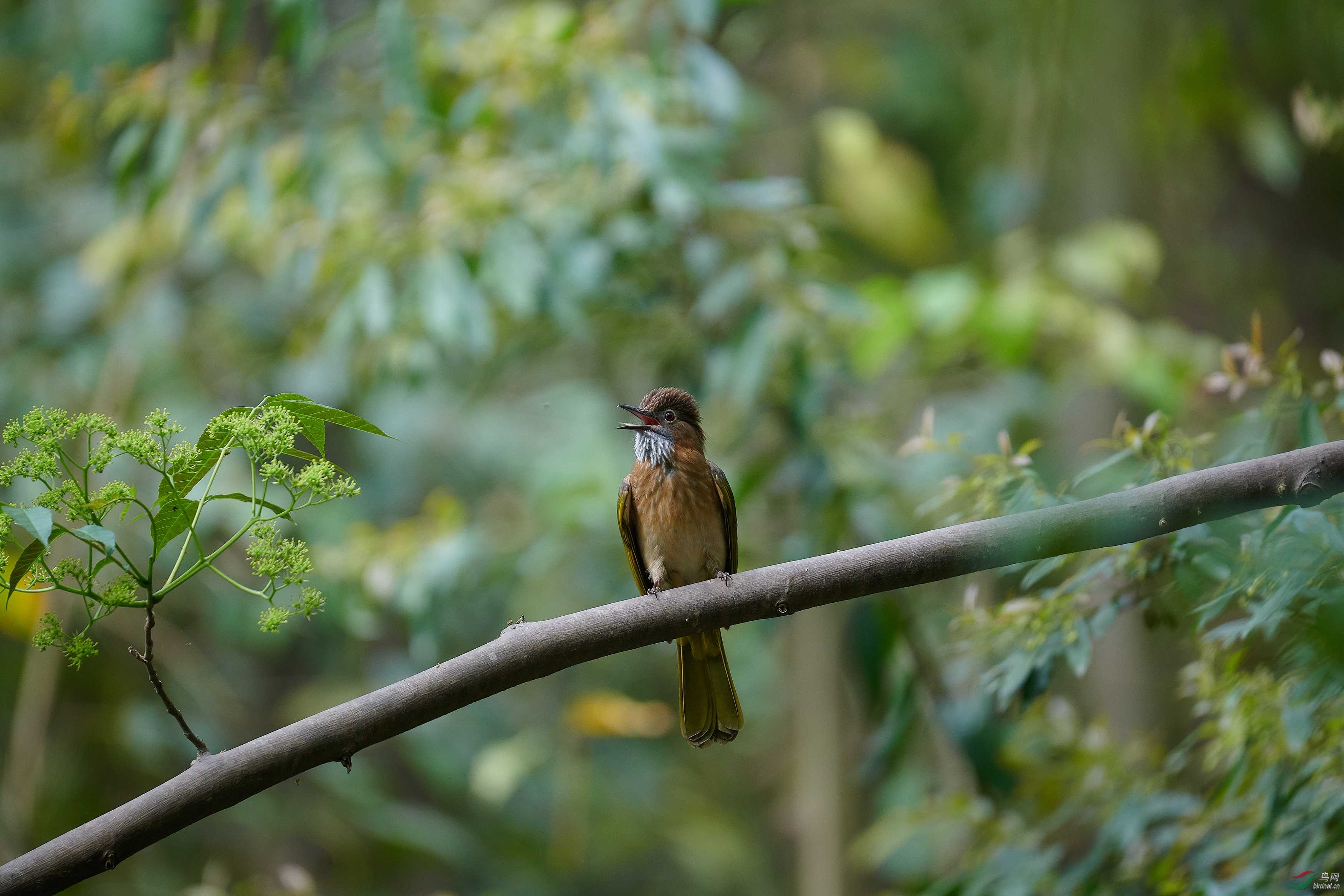 DSC_7257.jpg