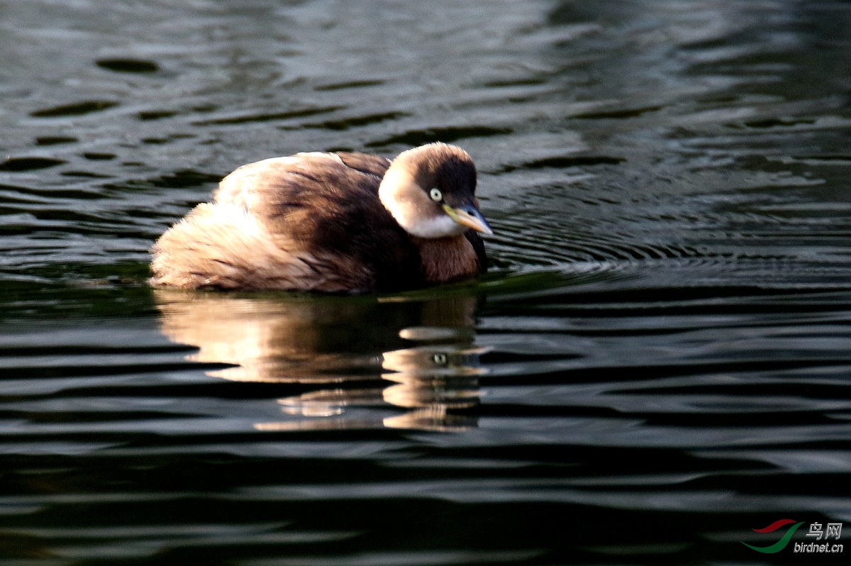A2739С.JPG