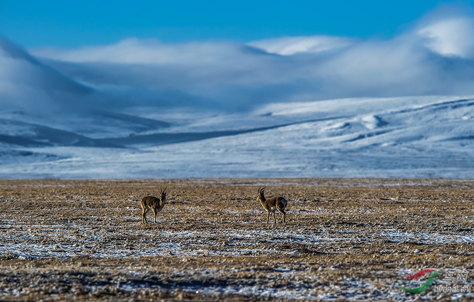 _DSC1871.jpg