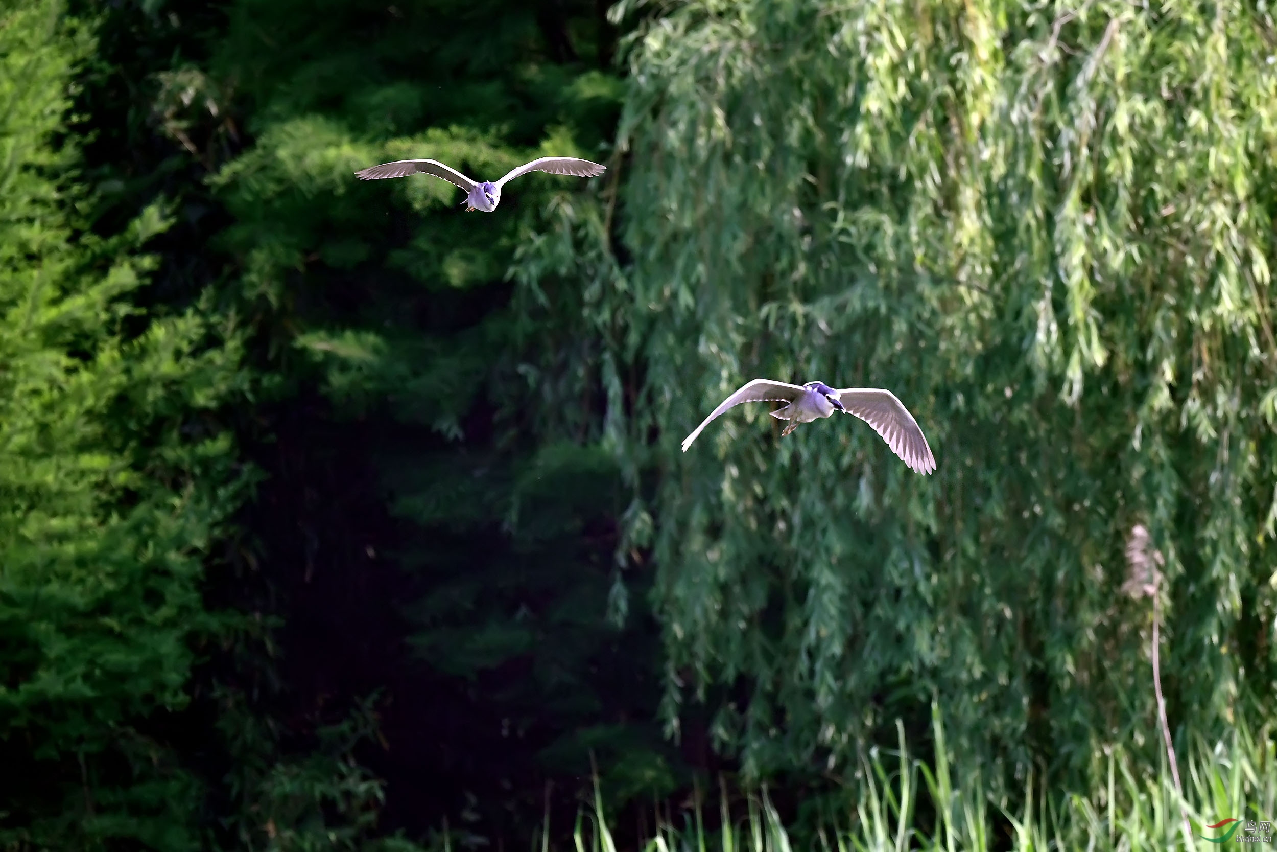 DSC_8363.jpg