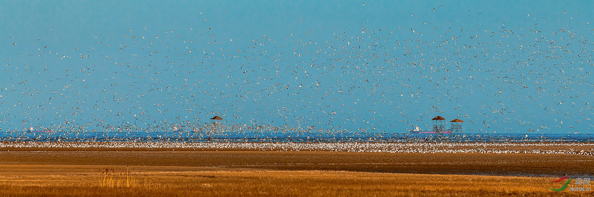 DSC_0798.jpg