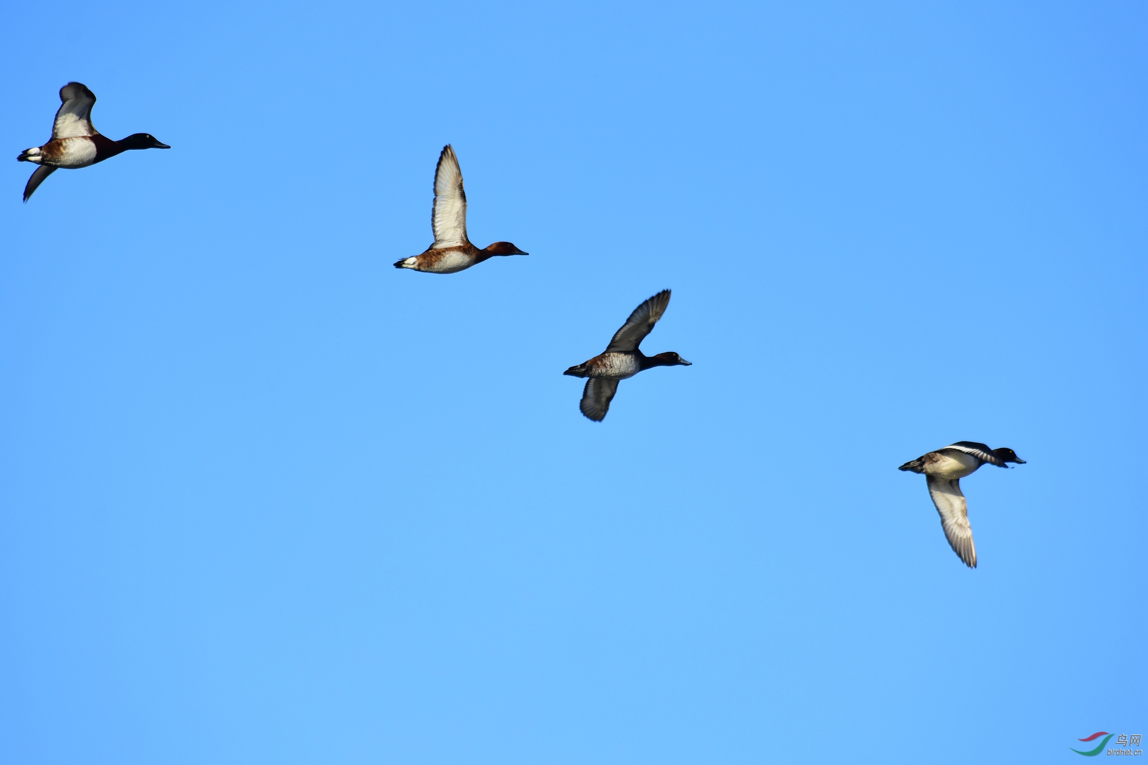 DSC_5759.JPG