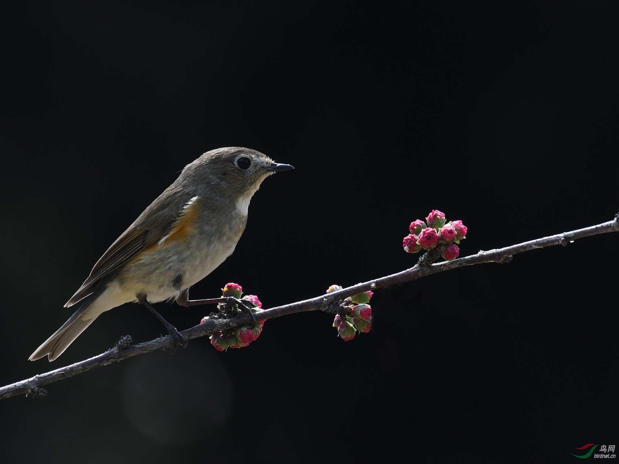 ������Ӱ 2606����.jpg