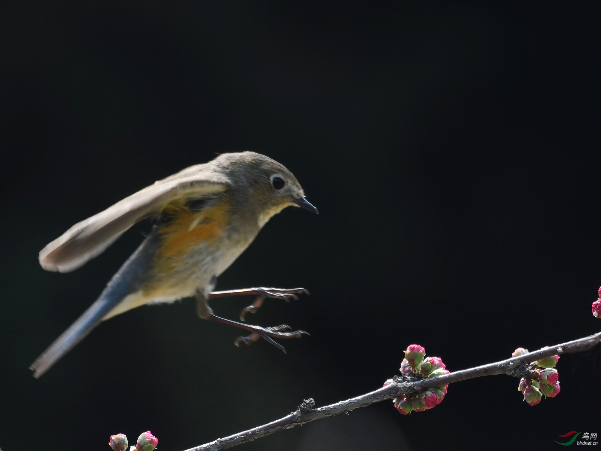 ������Ӱ 2597����.jpg