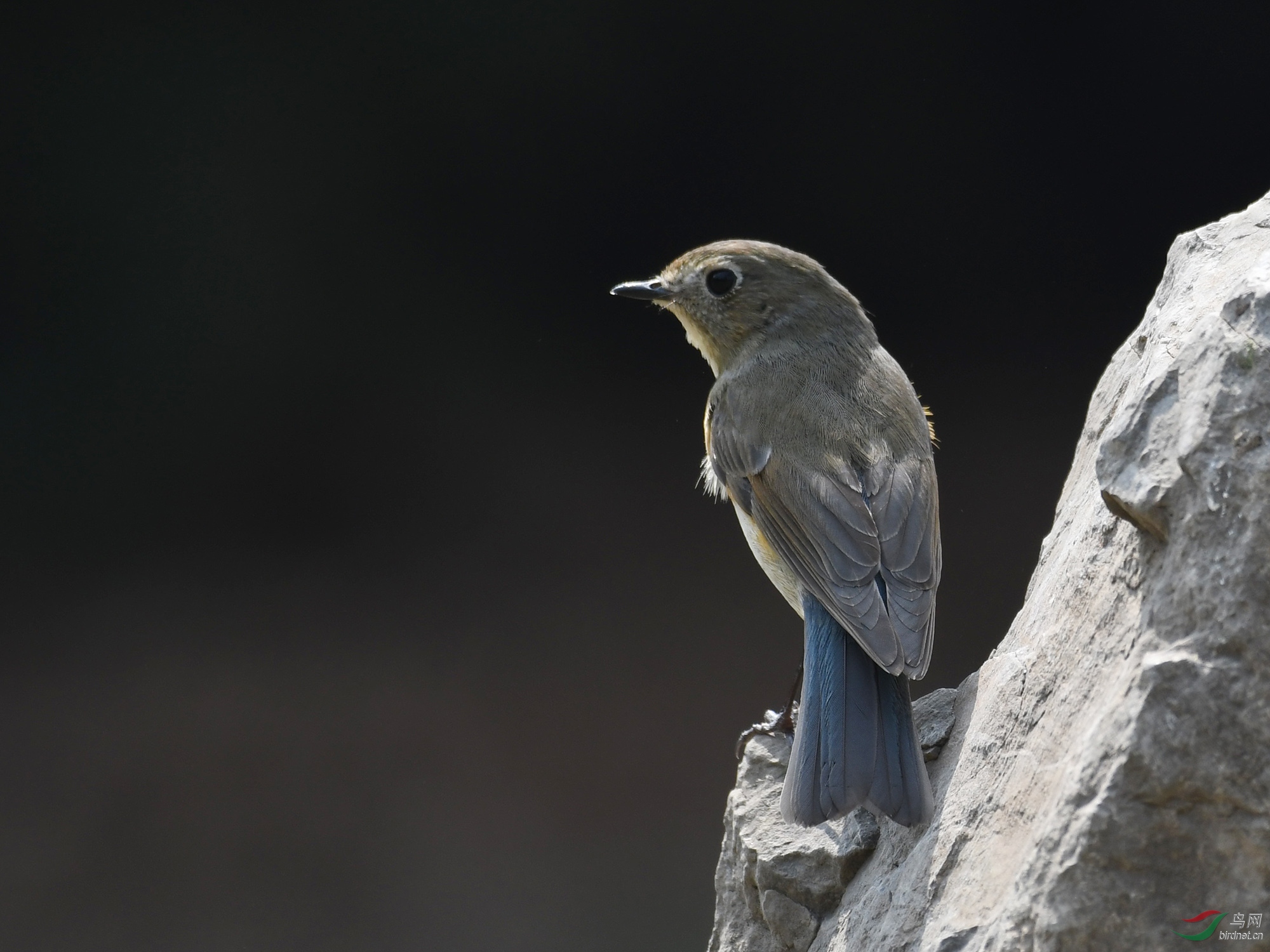 ������Ӱ 2582����.jpg