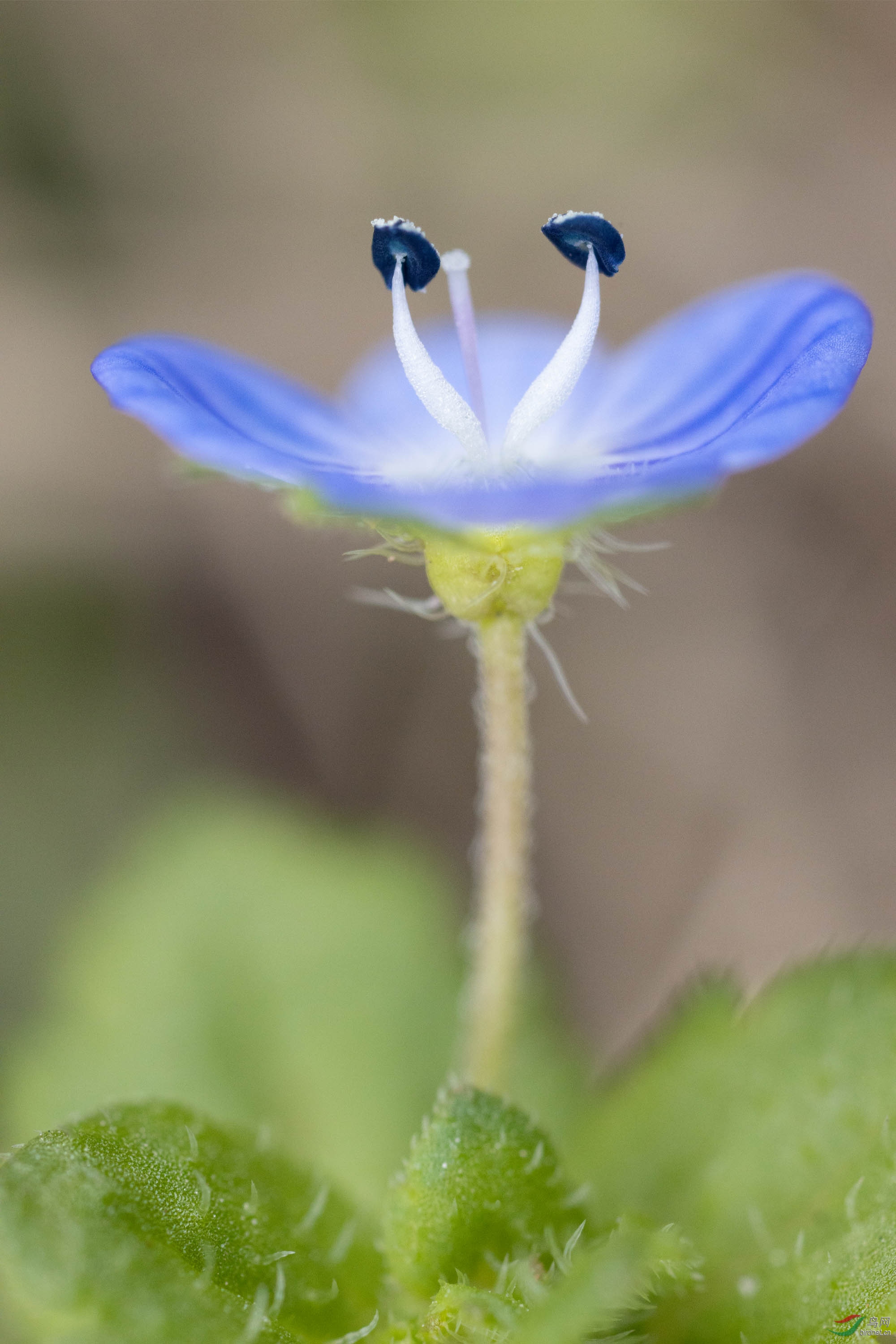 �趯��������