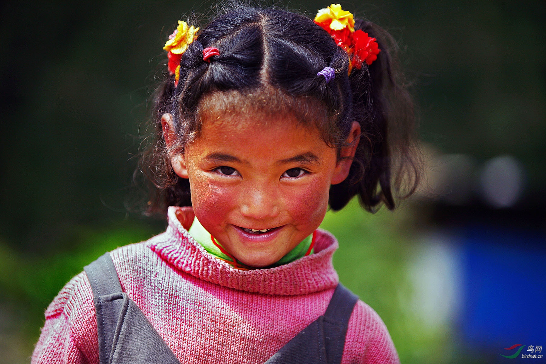 高原上的藏族女孩(祝贺荣获首页精华)