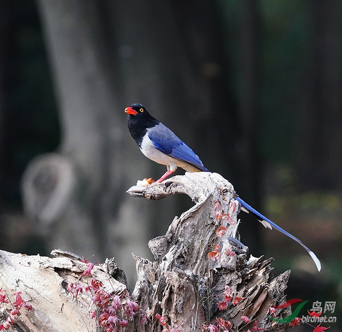 DSC09773---.jpg
