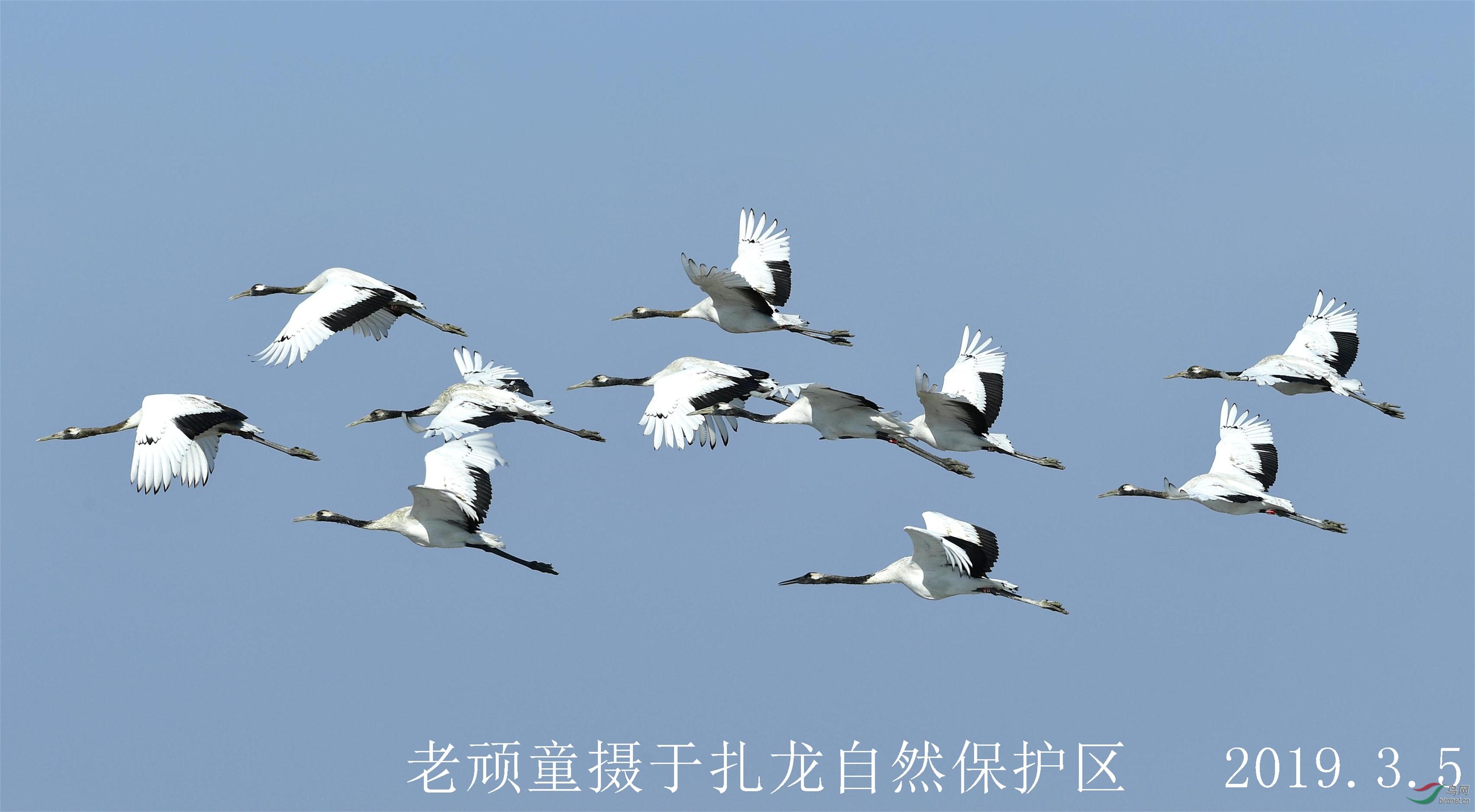 _DSC0789_����.jpg