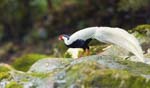 1 (177).JPG