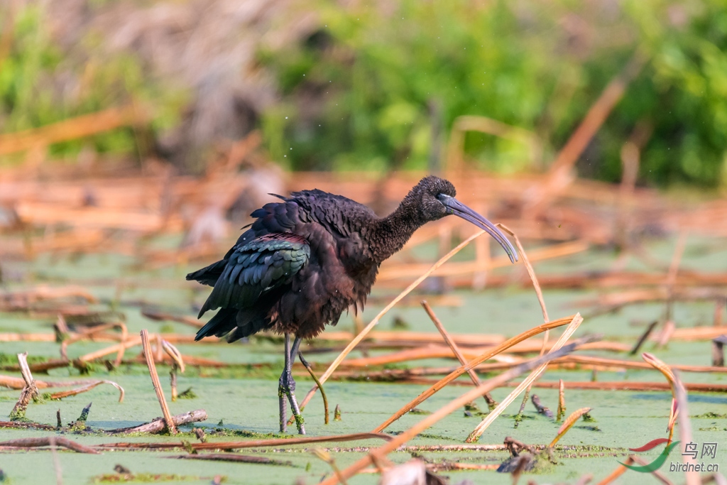 ��_AUU6444������ë һ���ᣨ20.3.11��-1.jpg