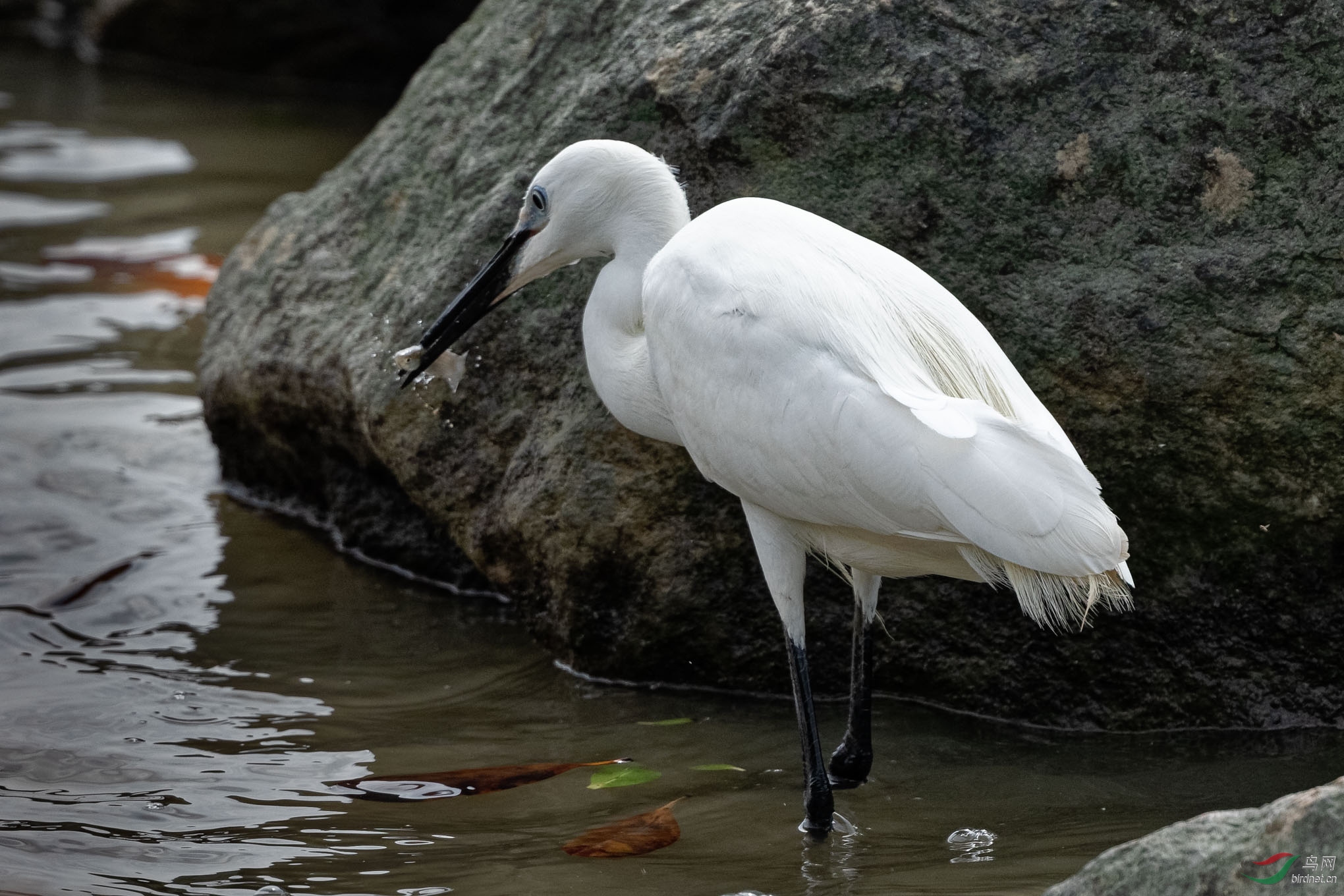 IMG_3120_DxO.jpg