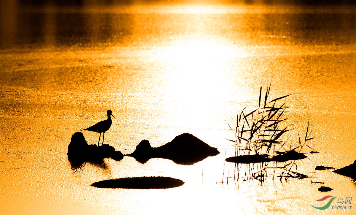 �ڳ᳤���� 2016.6.16 A (3)--.jpg