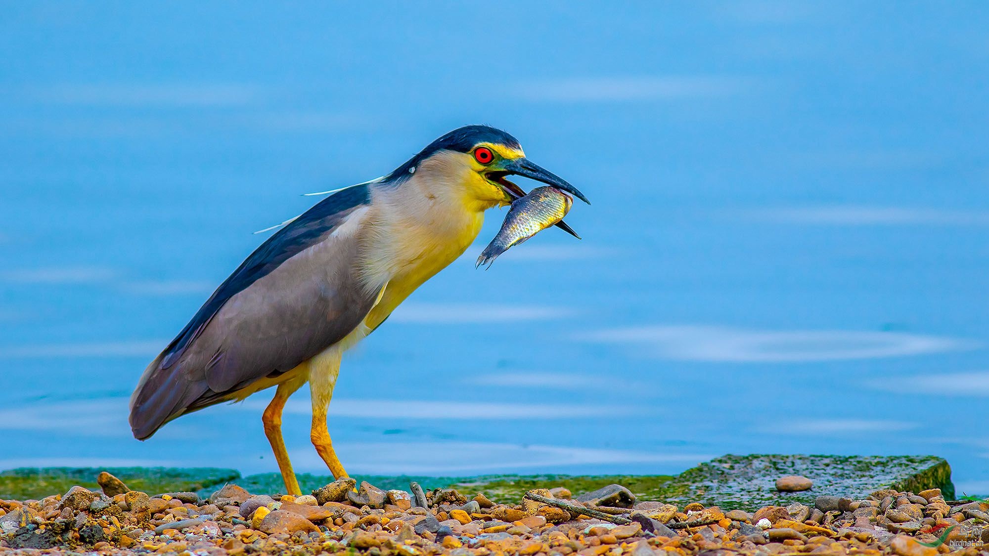 4J2A8980_2019.6.10-��֪���ļ���һ����  ���Ա���.jpg