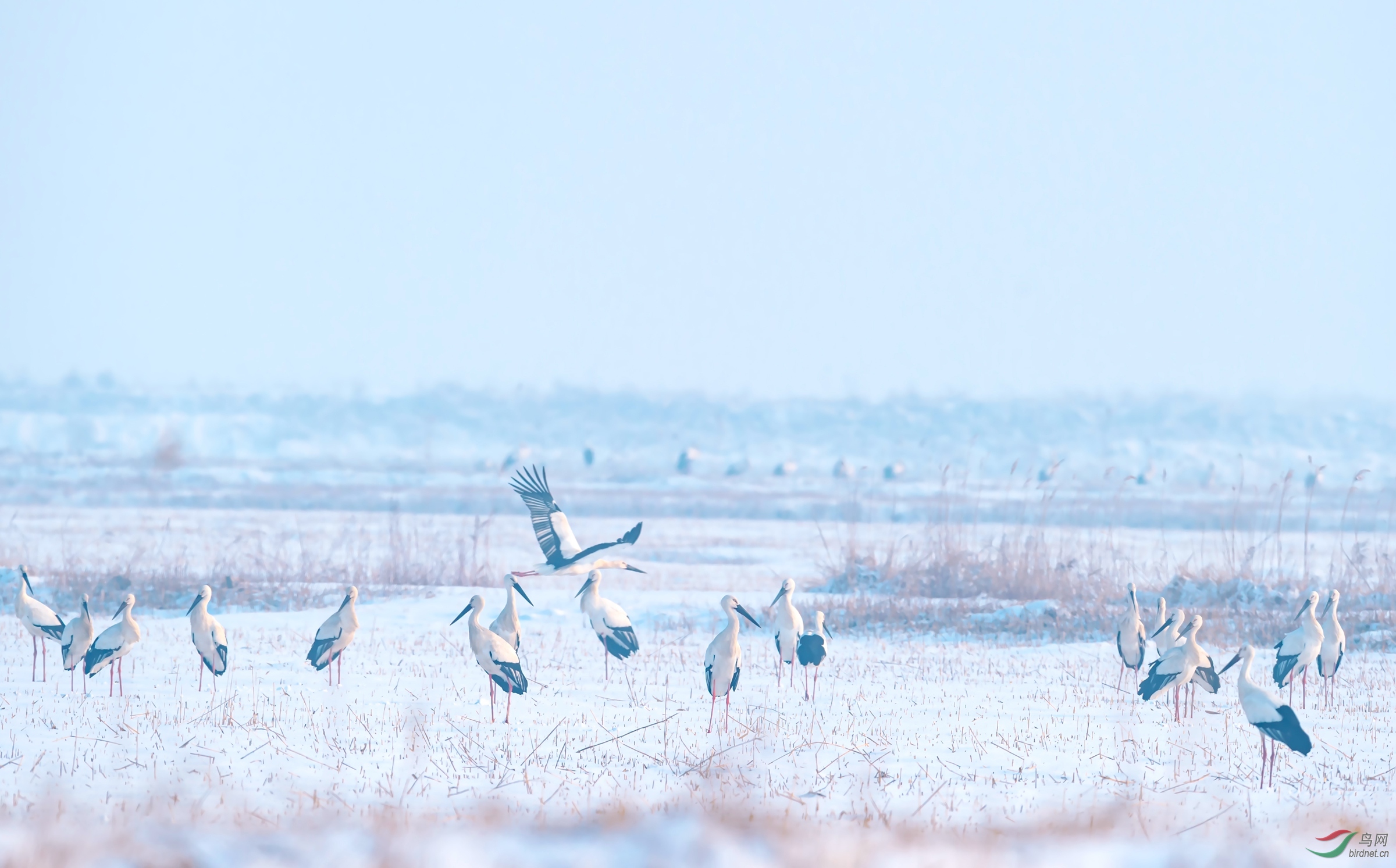 DSC_3894-1_����.jpg