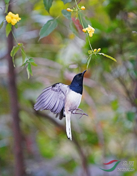 DSC01337---.jpg