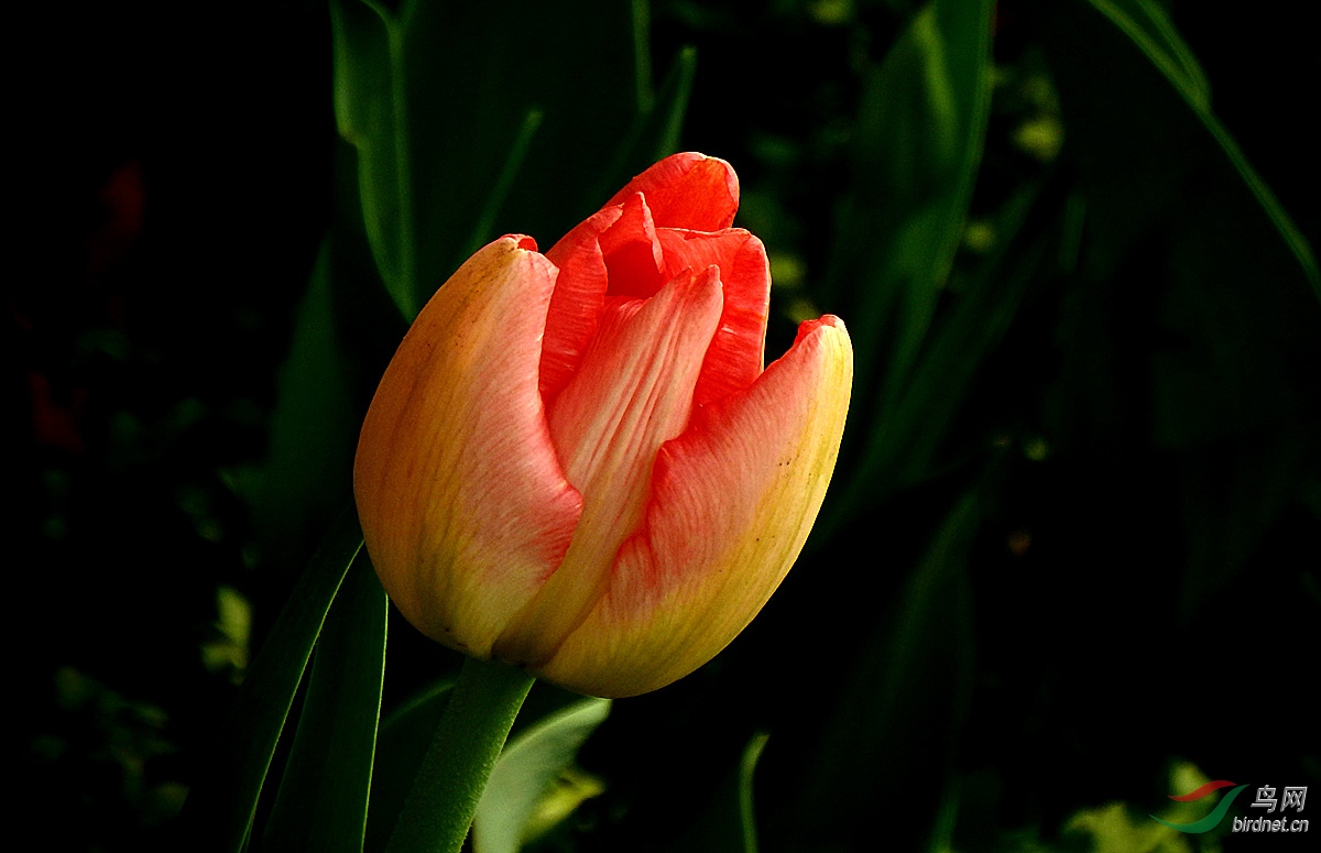 P3251952.jpg